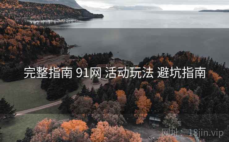 完整指南 91网 活动玩法 避坑指南