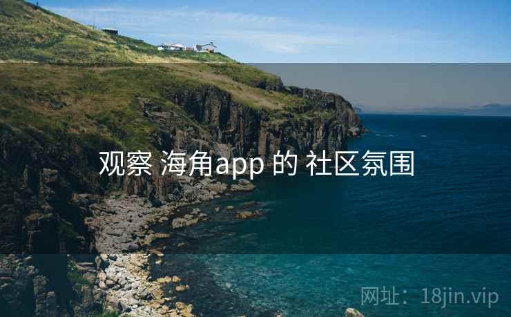 观察 海角app 的 社区氛围