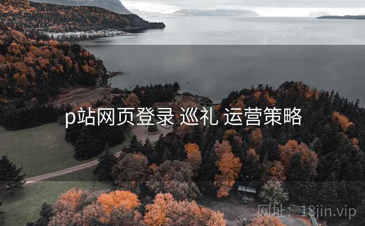 p站网页登录 巡礼 运营策略