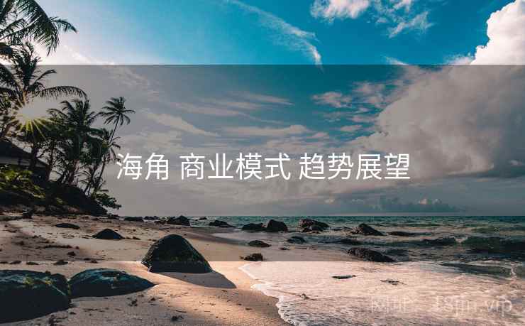 海角 商业模式 趋势展望