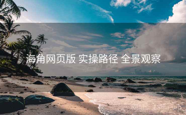 海角网页版 实操路径 全景观察