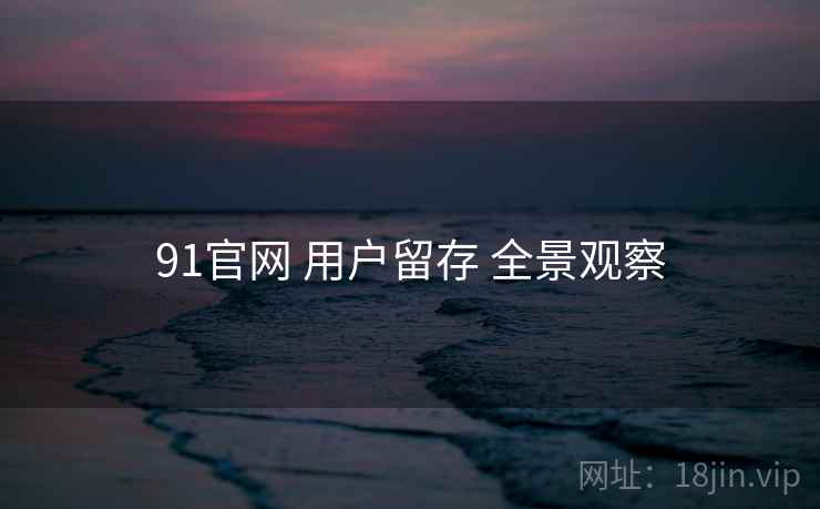 91官网 用户留存 全景观察